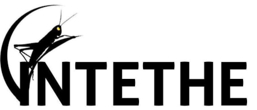 Intethe Logo